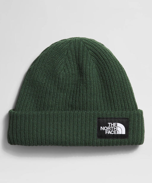 The North Face Salty Dog Beanie - Pine Needle at Dave's New York