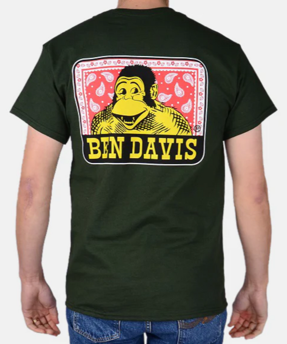 Ben Davis Men's Paisley Logo T-Shirt - Green at Dave's New York