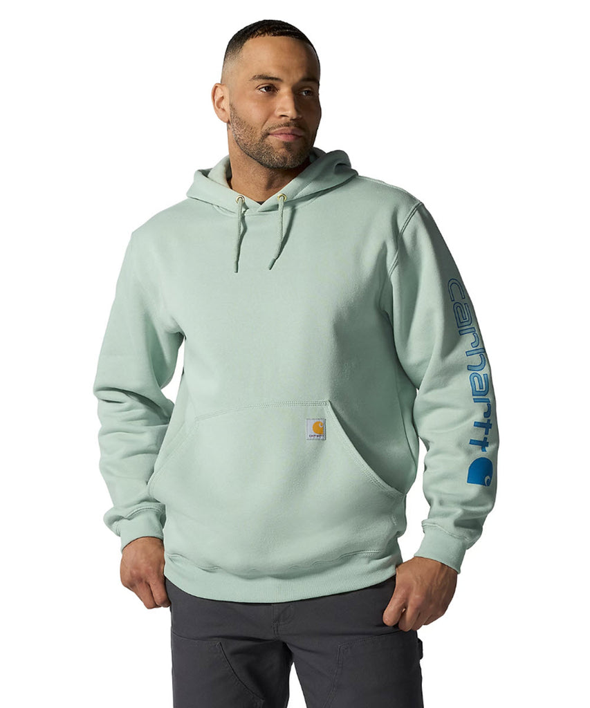 Carhartt Midweight Logo Hooded Sweatshirt - Seakbrook — Dave's New