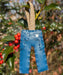 Dave's New York Ornament - Foundation Pant