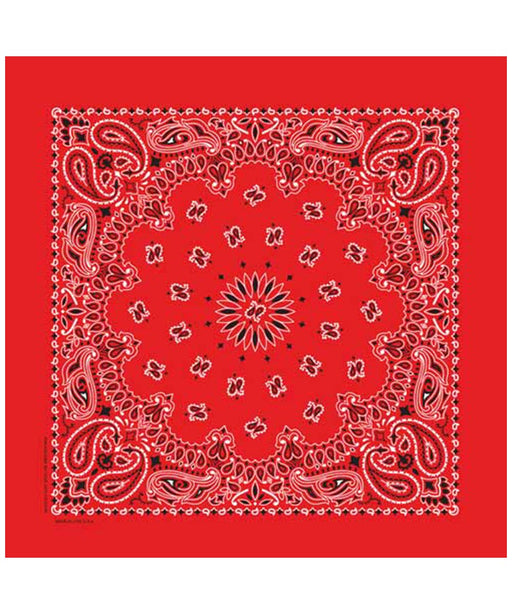 Hav-A-Hank Bandana in Red at Dave's New York