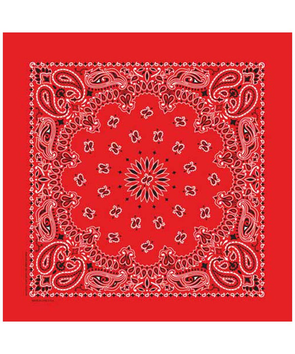 Hav-A-Hank Bandana in Red at Dave's New York