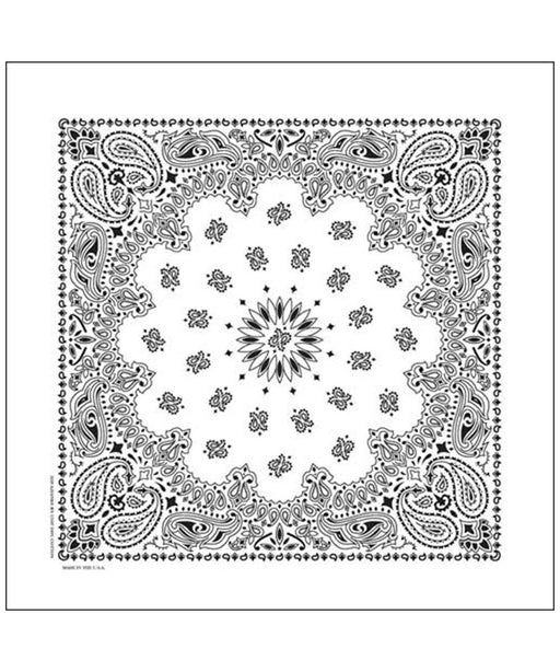 Hav-A-Hank Bandana in White at Dave's New York