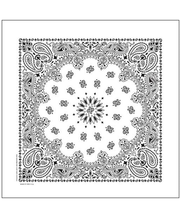 Hav-A-Hank Bandana in White at Dave's New York