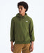 The North Face Men's Evolution Simple Dome Hoodie - Woodland Green at Dave's New York
