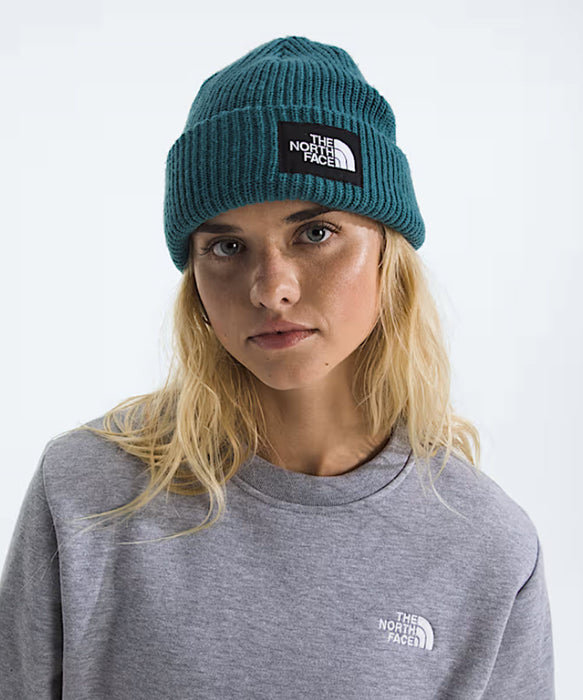 The North Face Salty Lined Beanie - Space at Dave's New York