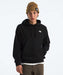 The North Face Men's Evolution Simple Dome Hoodie - TNF Black at Dave's New York