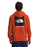 The North Face Men's Box NSE Hooded Sweatshirt - Rusted Bronze at Dave's New York